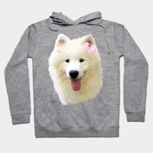 Sweet Samoyed Dog Hoodie